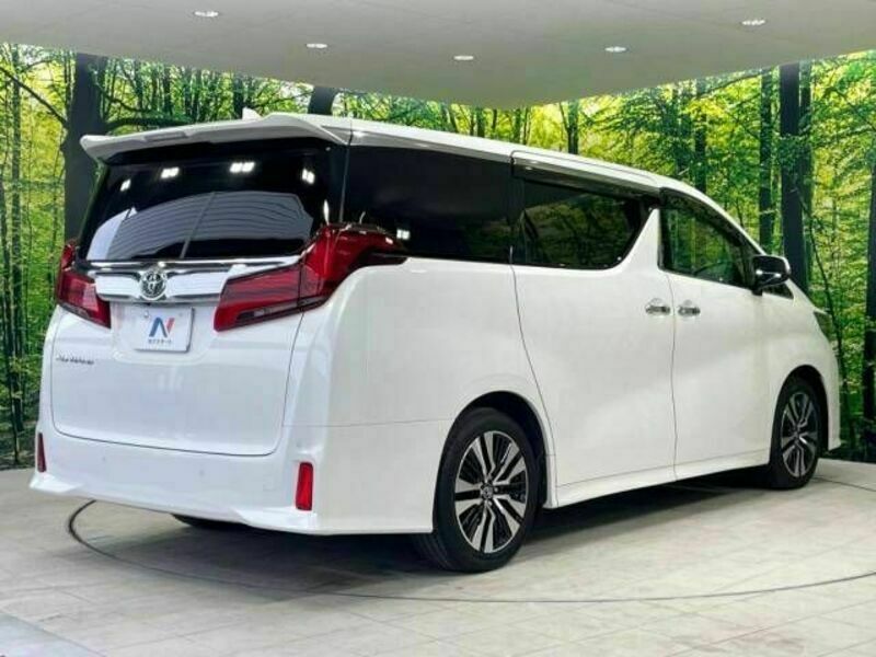 ALPHARD-18