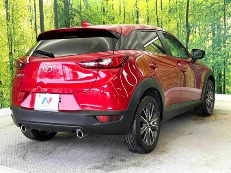 CX-3-17