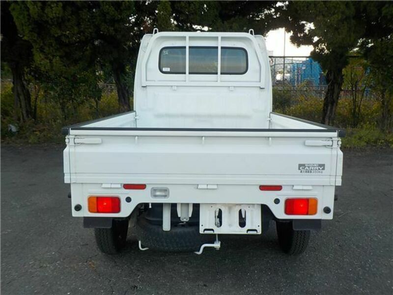 CARRY TRUCK-26