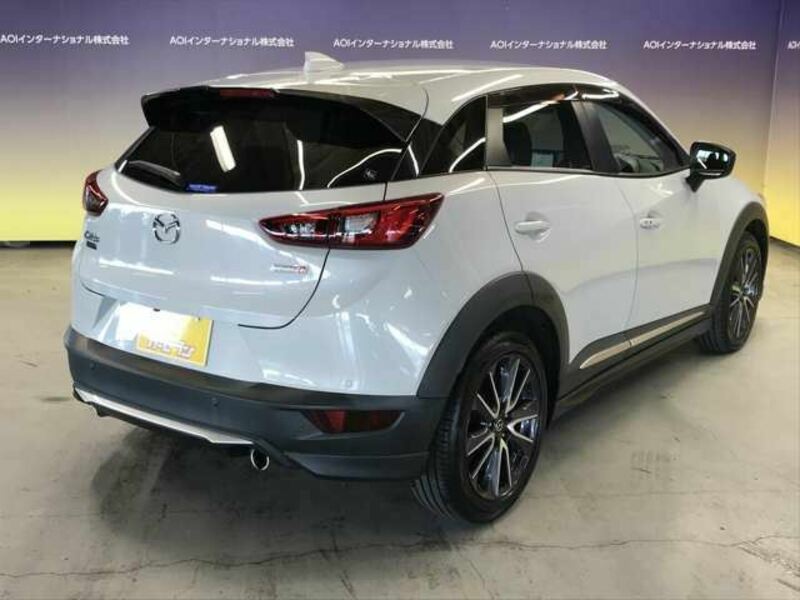 CX-3-10