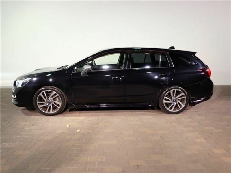 LEVORG-30