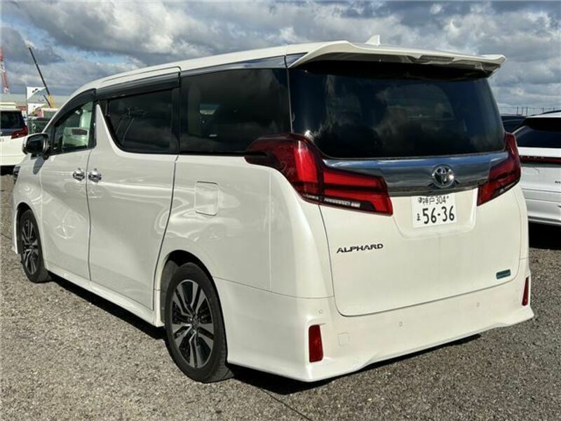 ALPHARD-3