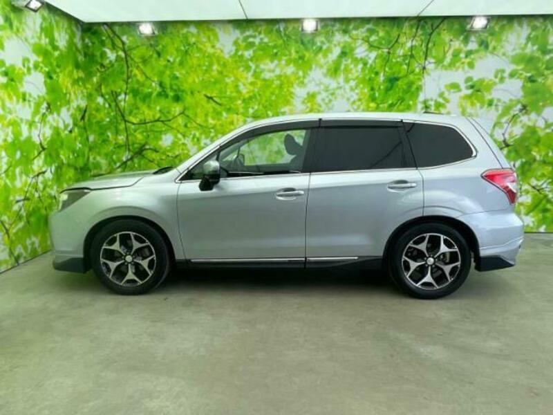 FORESTER-1