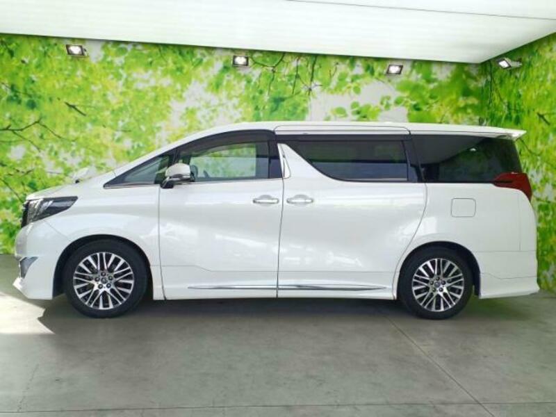 ALPHARD-1