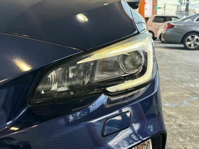 LEVORG-28