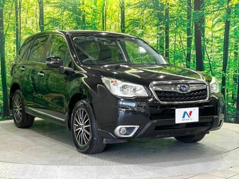 FORESTER-16