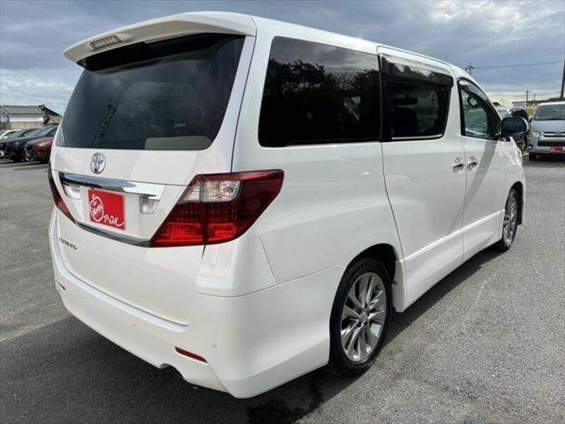 ALPHARD-17