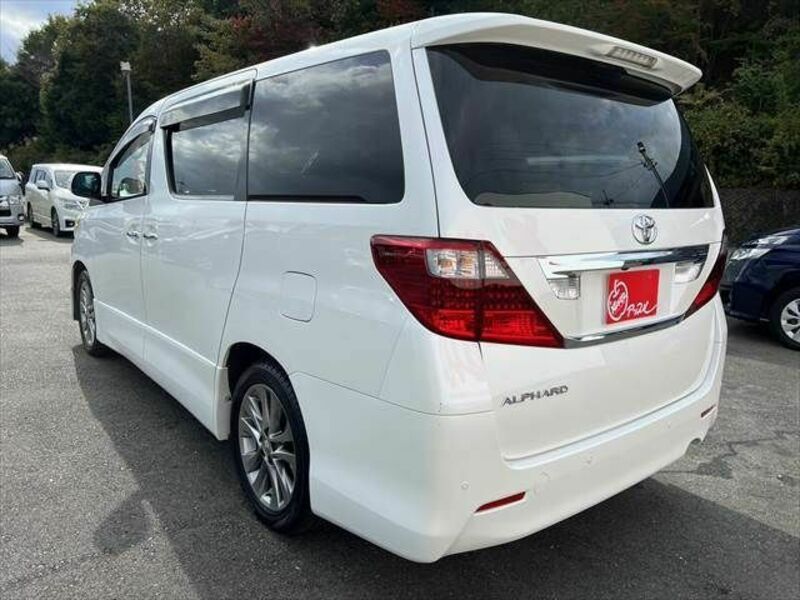 ALPHARD-19