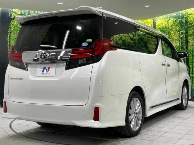 ALPHARD-17