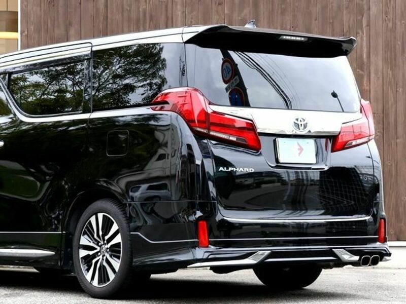 ALPHARD-12