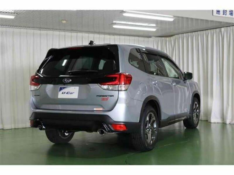 FORESTER-3