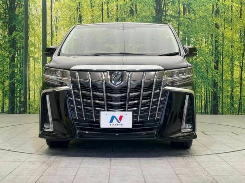 ALPHARD-15