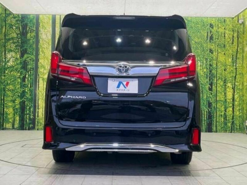 ALPHARD-16