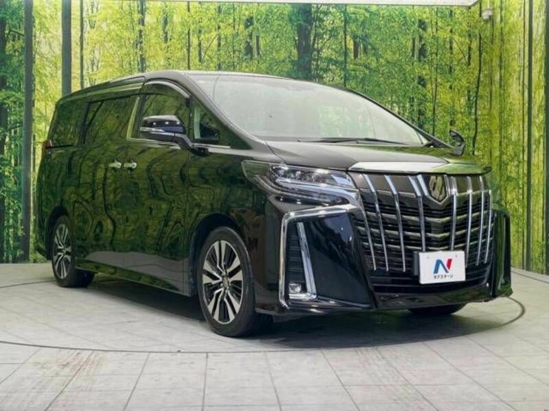 ALPHARD-17