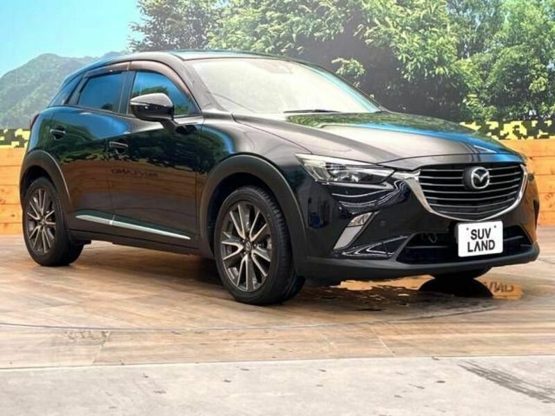 CX-3-16