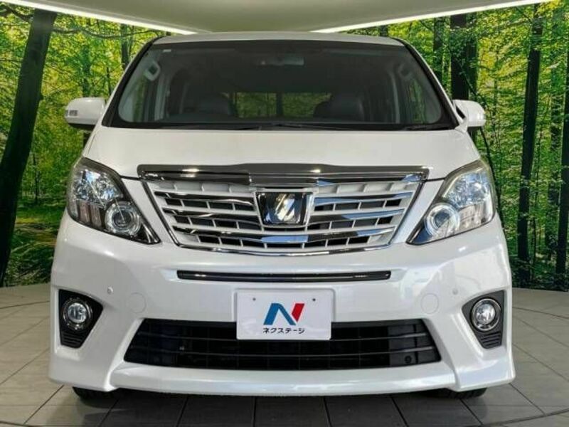 ALPHARD-15