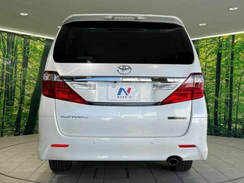 ALPHARD-16