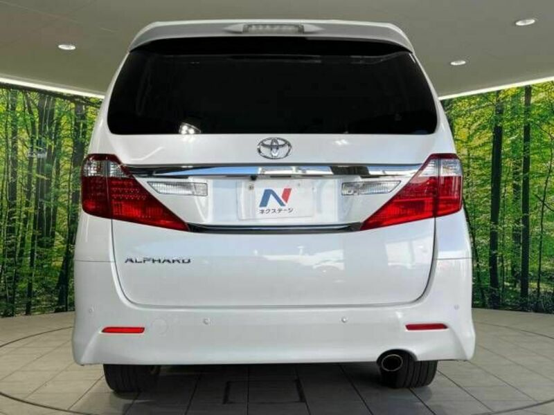 ALPHARD-16