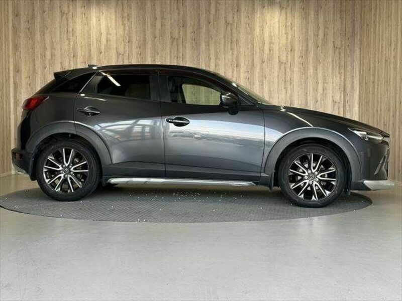 CX-3-15