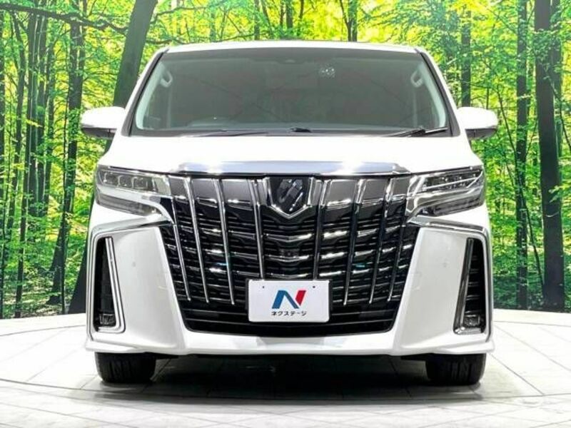 ALPHARD-18