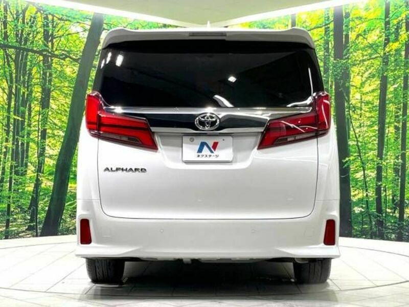 ALPHARD-19