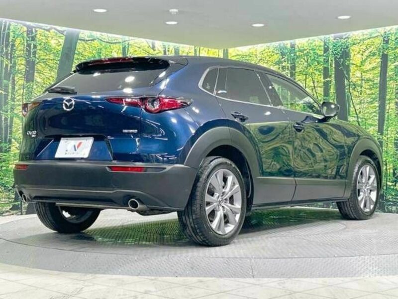 CX-30-17