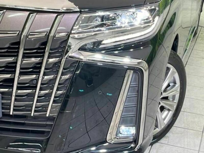 ALPHARD-12