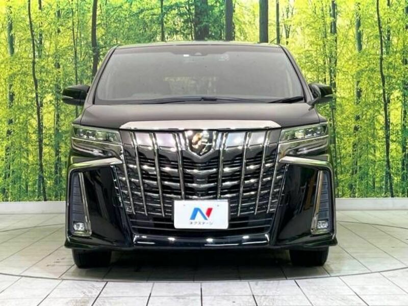 ALPHARD-14