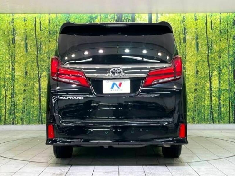 ALPHARD-15