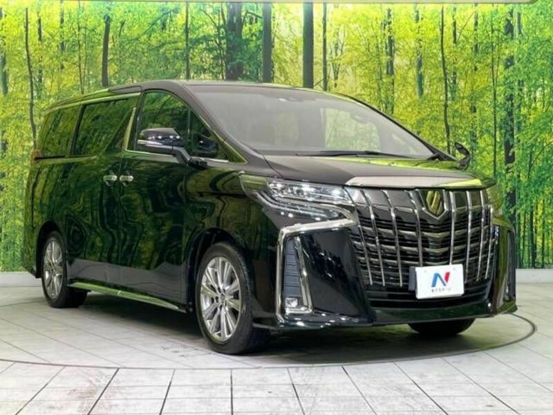 ALPHARD-16