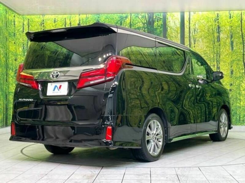 ALPHARD-17