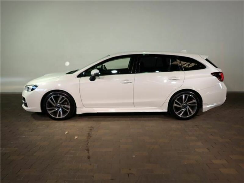 LEVORG-31