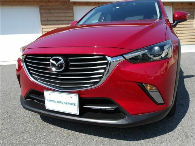 CX-3-10