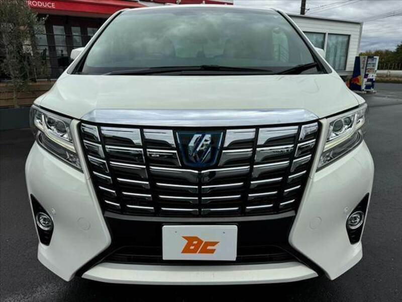 ALPHARD-8