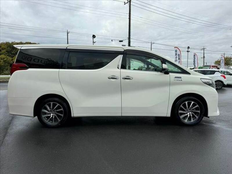 ALPHARD-11