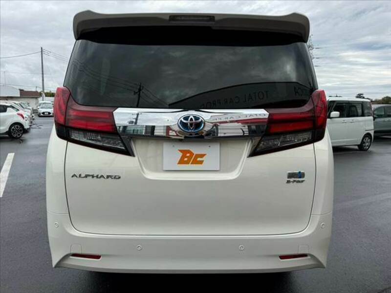 ALPHARD-13