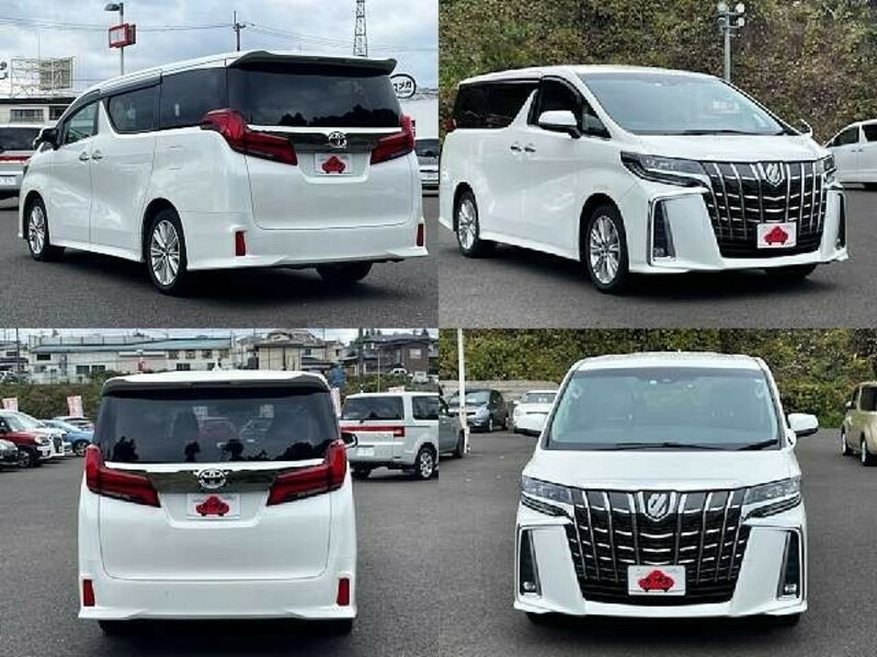 ALPHARD-8