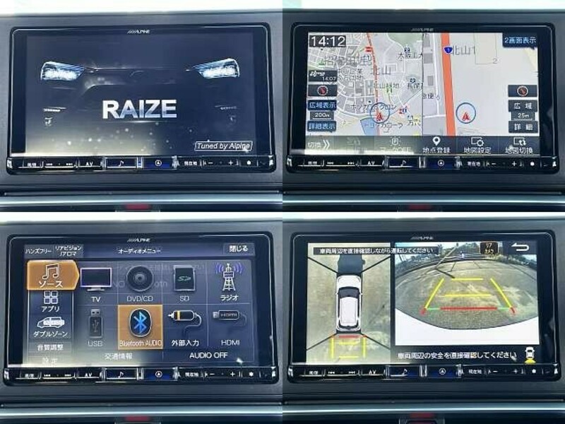 RAIZE-3