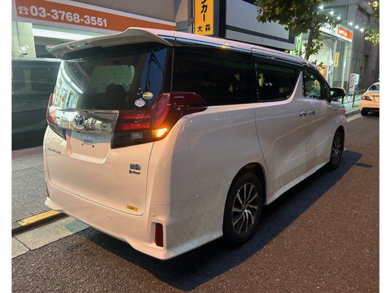 ALPHARD-6