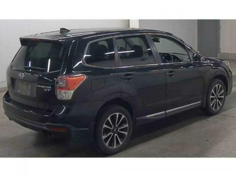 FORESTER-1