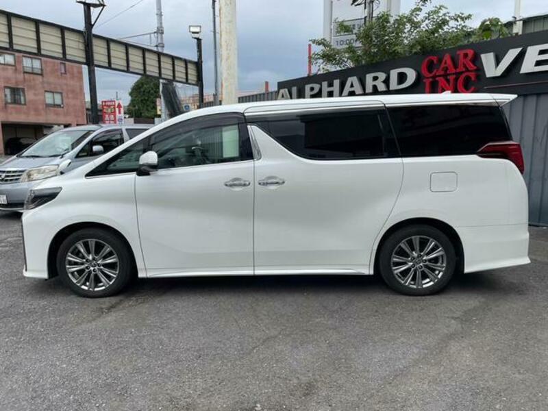 ALPHARD-15