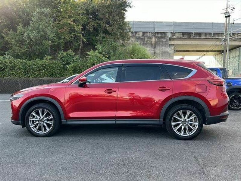 CX-8-17