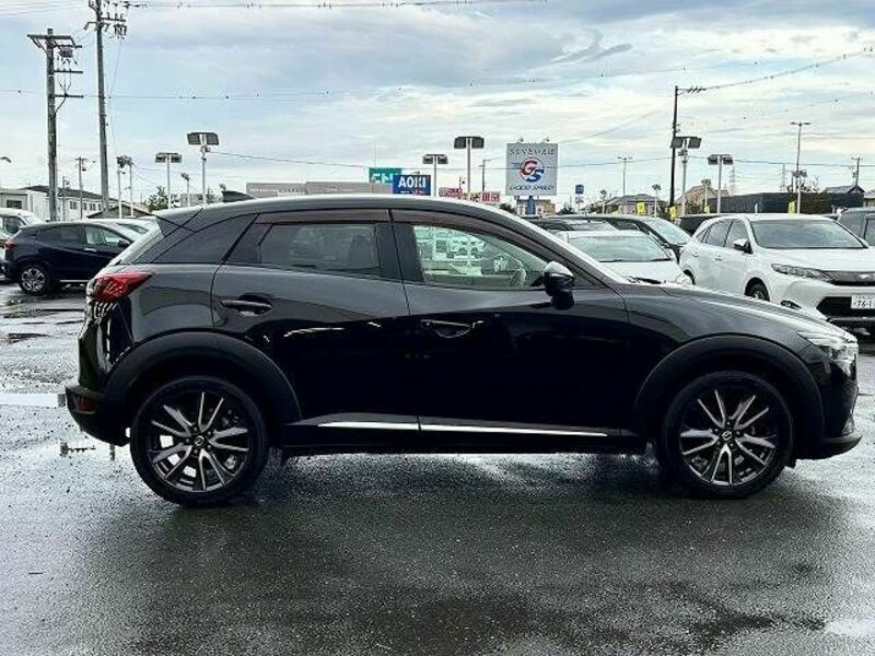 CX-3-13