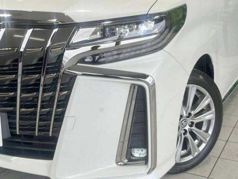 ALPHARD-13