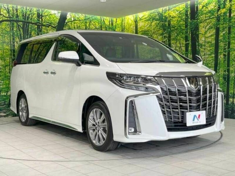 ALPHARD-17