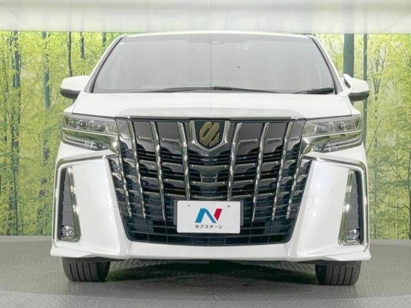 ALPHARD-15