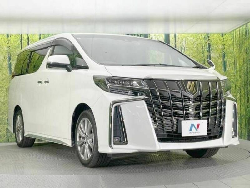 ALPHARD-17