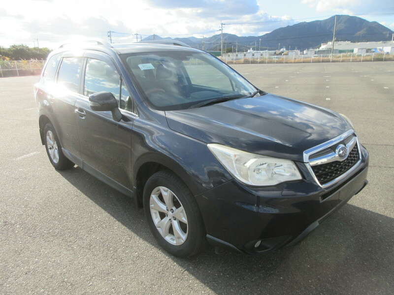 FORESTER