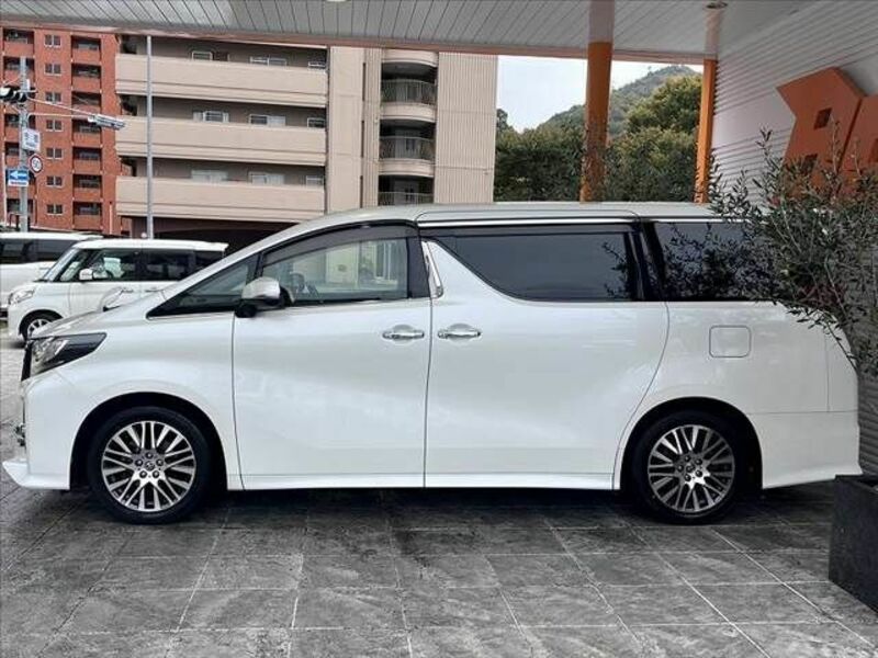 ALPHARD-11