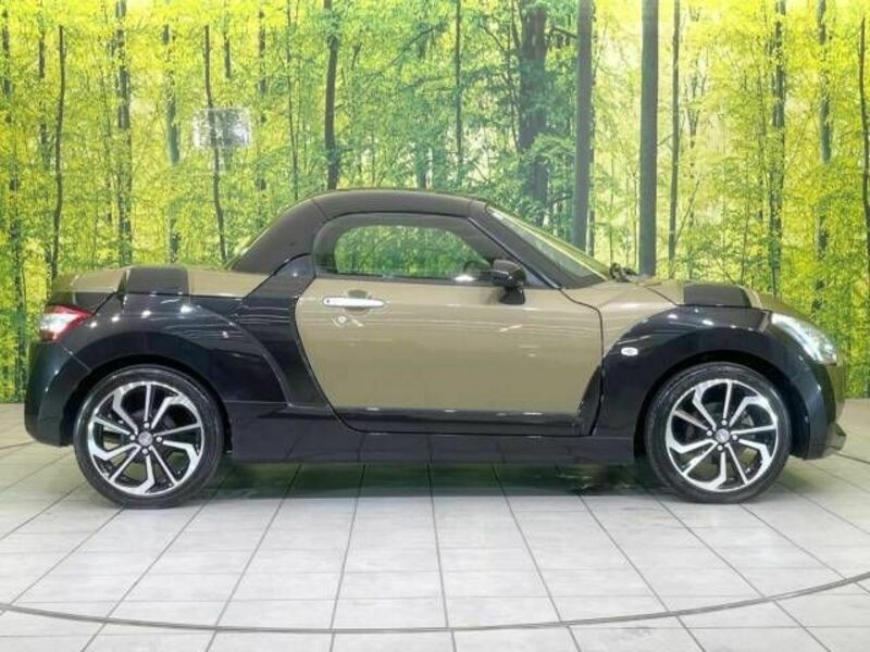 COPEN-19